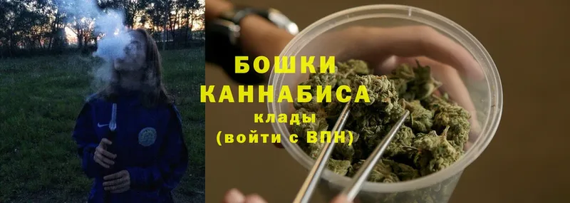 продажа наркотиков  mega сайт  Бошки Шишки SATIVA & INDICA  Киржач 